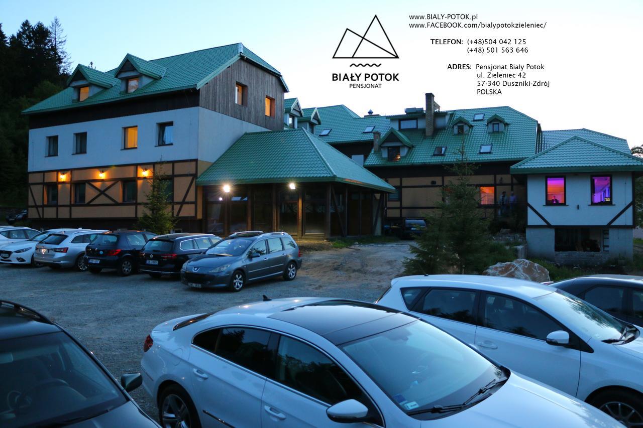 Bialy Potok Bed & Breakfast Zieleniec  Exterior photo